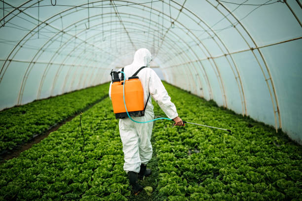 Pest Control for Restaurants in Vidor, TX