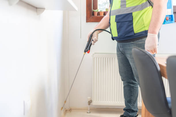 Best Ant Control Services  in Vidor, TX
