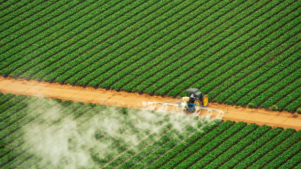 Best Best Pest Control Companies  in Vidor, TX