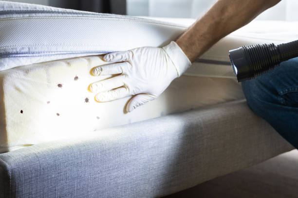 Vidor, TX Pest Control Company