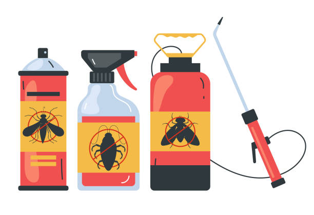 Best Flea Control Services  in Vidor, TX